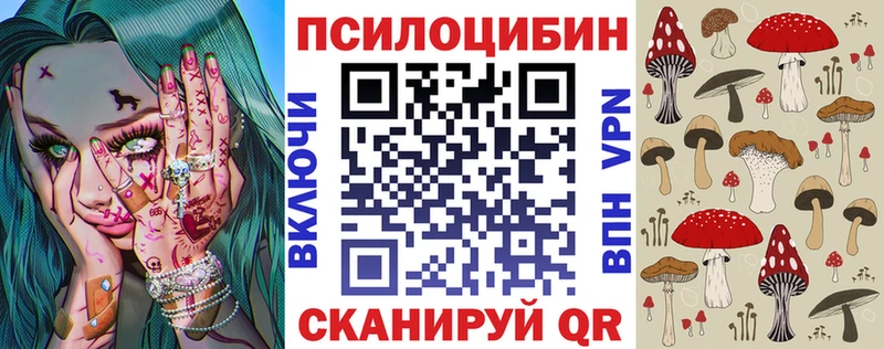 Псилоцибиновые грибы Psilocybe  купить   Гагарин 